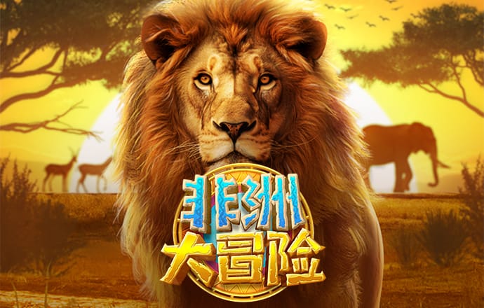 bob半岛平台体育下载